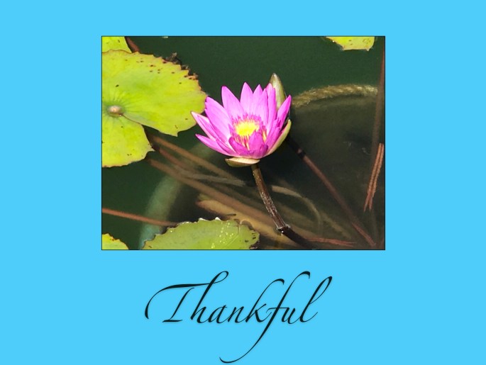 C9F76416-BF73-4D8D-A52F-D5D54CFF9741