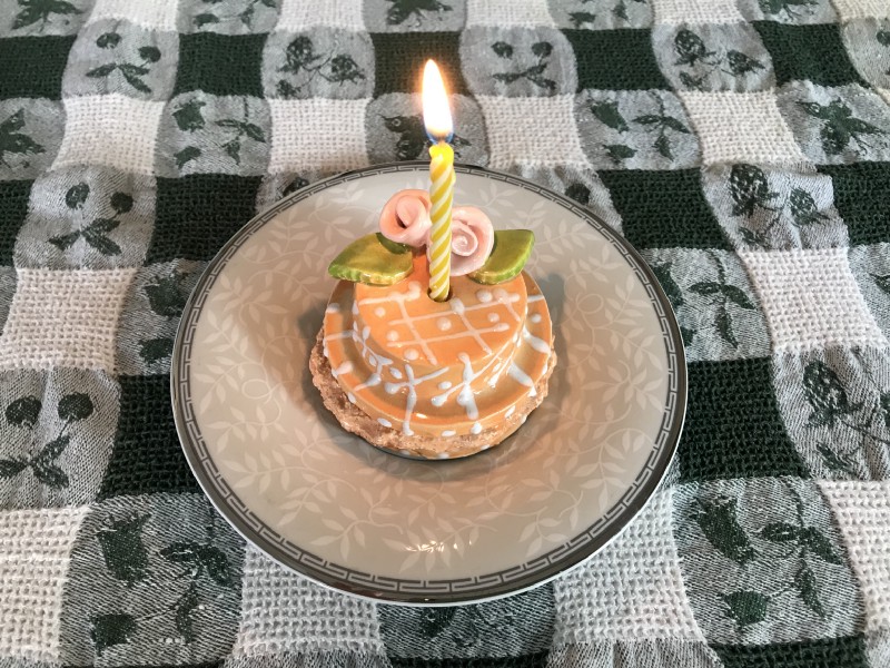 There is a photo of an orange and white ceramic cake with two tiny pink flowers and two green leaves with a lit yellow candle on a white and silver plate on a green and white checkered tablecloth.